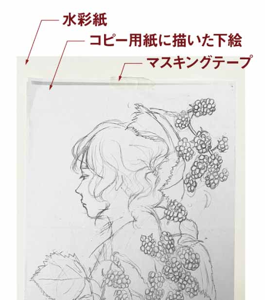 水彩紙を汚さない下書きの方法│アーリーフィンチは早起き小鳥〜絵と配色とデザインと〜