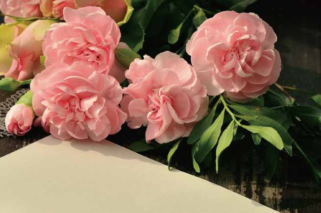 水彩画でオリジナル 色紙の作り方 アーリーフィンチは早起き小鳥 絵と配色とデザインと